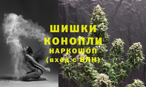 круглые Карпинск