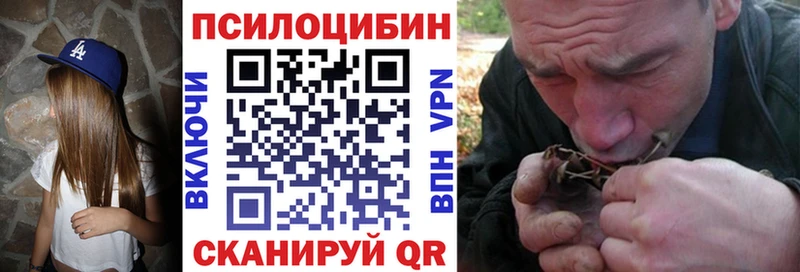 Псилоцибиновые грибы GOLDEN TEACHER  Купить  Вязьма 