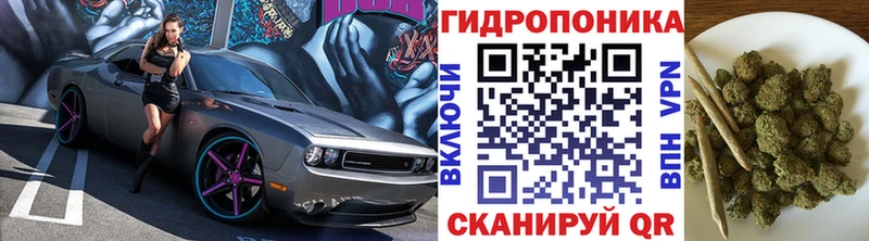 Бошки марихуана MAZAR  Купить где  Вязьма 